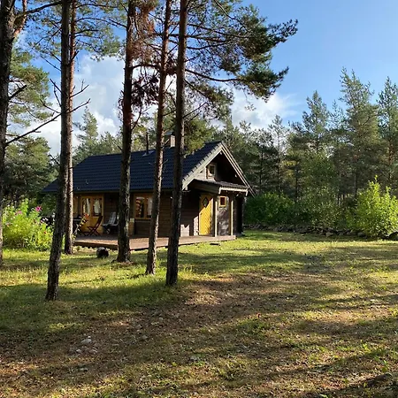 Kuldvitsa Puhkemaja Saunaga * Upa