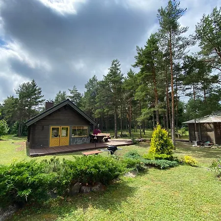 Kuldvitsa Puhkemaja Saunaga 別荘 *