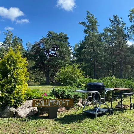 Kuldvitsa Puhkemaja Saunaga 度假居
