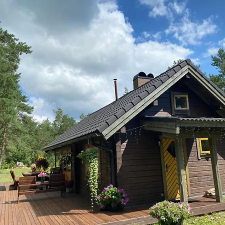 Kuldvitsa Puhkemaja Saunaga 別荘