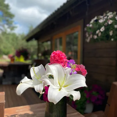Kuldvitsa Puhkemaja Saunaga * 乌巴