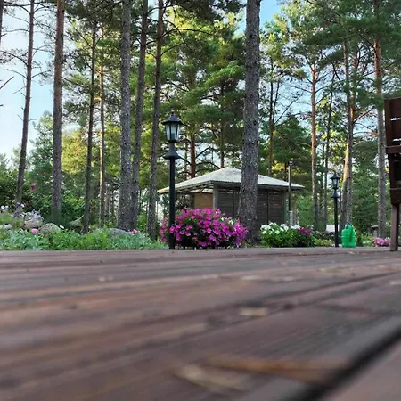 Kuldvitsa Puhkemaja Saunaga 別荘