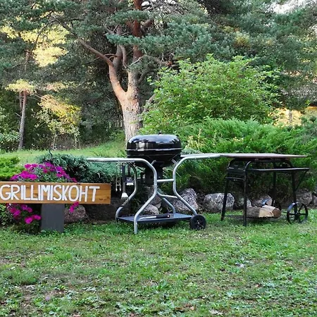 Kuldvitsa Puhkemaja Saunaga *