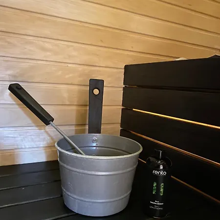 度假居 Kuldvitsa Puhkemaja Saunaga *