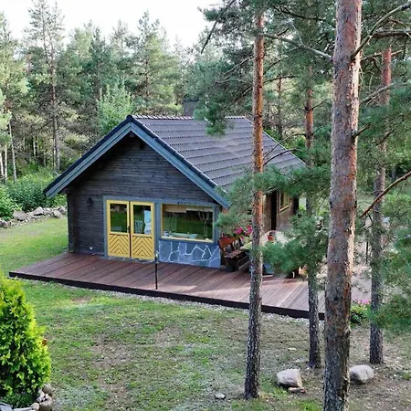 Kuldvitsa Puhkemaja Saunaga 別荘
