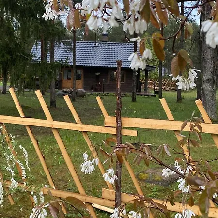 Kuldvitsa Puhkemaja Saunaga 度假居 *