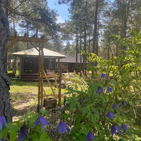 Kuldvitsa Puhkemaja Saunaga